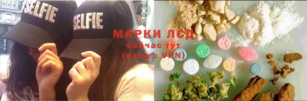 ГАЛЛЮЦИНОГЕННЫЕ ГРИБЫ Богданович