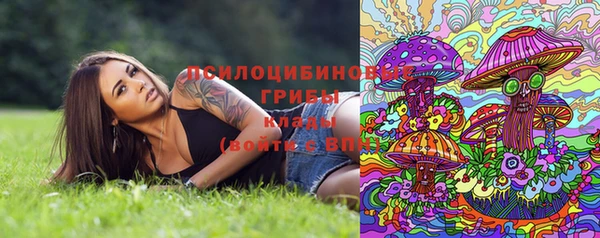 ГАЛЛЮЦИНОГЕННЫЕ ГРИБЫ Богданович