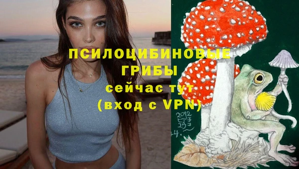 ГАЛЛЮЦИНОГЕННЫЕ ГРИБЫ Богданович