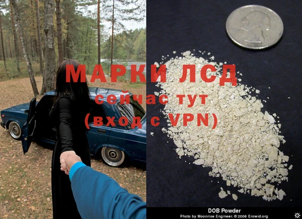 ГАЛЛЮЦИНОГЕННЫЕ ГРИБЫ Богданович