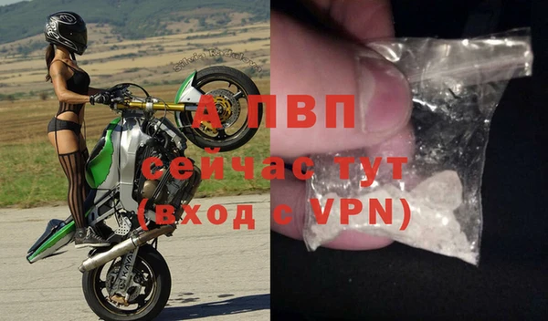 ГАЛЛЮЦИНОГЕННЫЕ ГРИБЫ Богданович