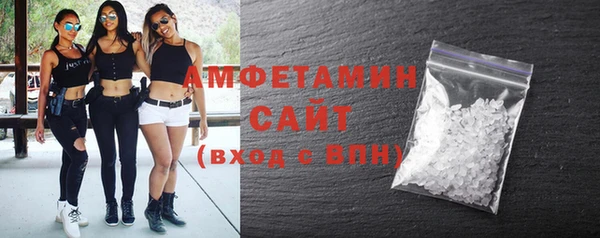 ГАЛЛЮЦИНОГЕННЫЕ ГРИБЫ Богданович