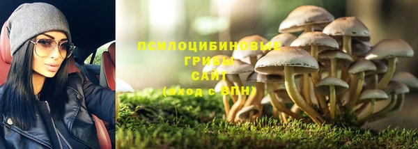 ГАЛЛЮЦИНОГЕННЫЕ ГРИБЫ Богданович