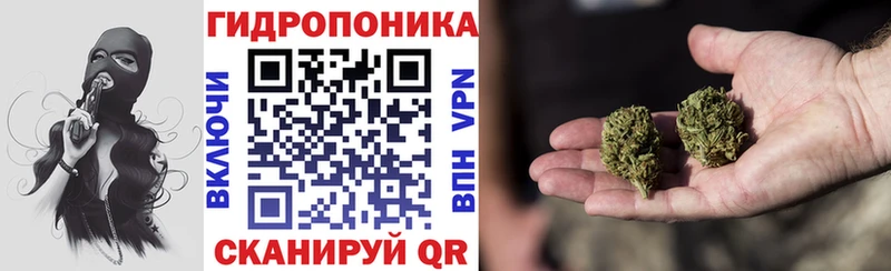 где можно купить   Ейск  Шишки марихуана Amnesia 